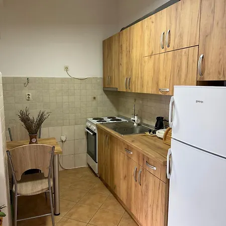 Sunny Cozy Wi-fi Elevator Urban Skopje